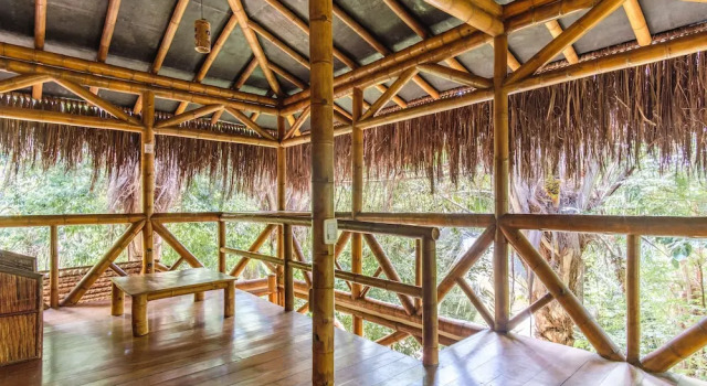Кровать в общем номере Universo Pol Bamboo Hostel