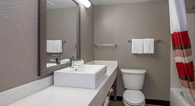 Номер Deluxe с видом на бассейн Red Roof Inn PLUS Boston - Mansfield - Foxboro