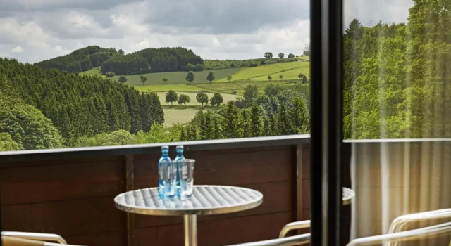 Номер Comfort с красивым видом из окна H+ Hotel Willingen