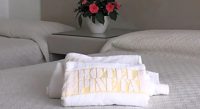 Номер Standard Hotel Pineta