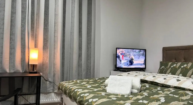 Entire Studio apartment - London