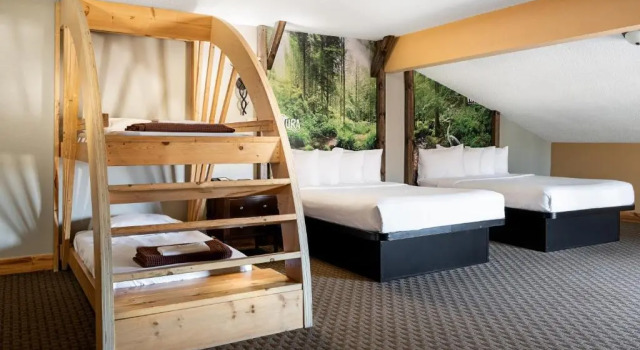 Шестиместный номер Standard Natura Treescape Resort