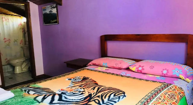 Двухместный номер Standard Hostal Princesa Maria