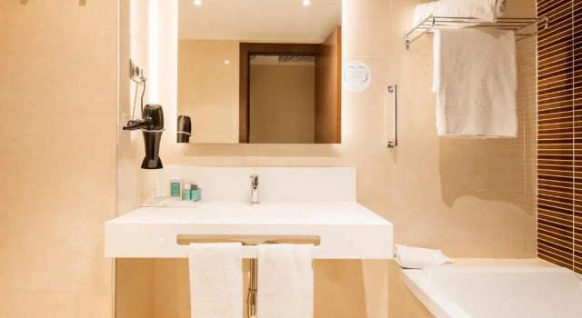 Двухместный номер Pet Friendly Ilunion Auditori