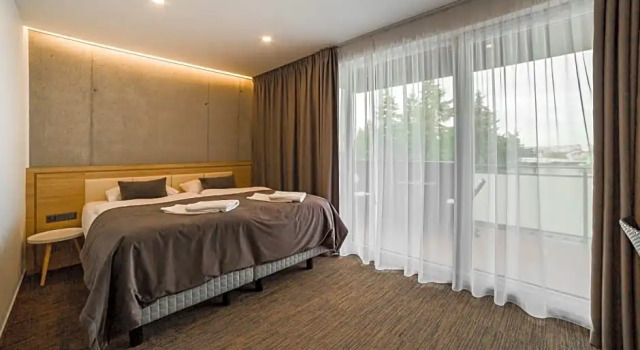 Deluxe pokoj Hotel Dolphin