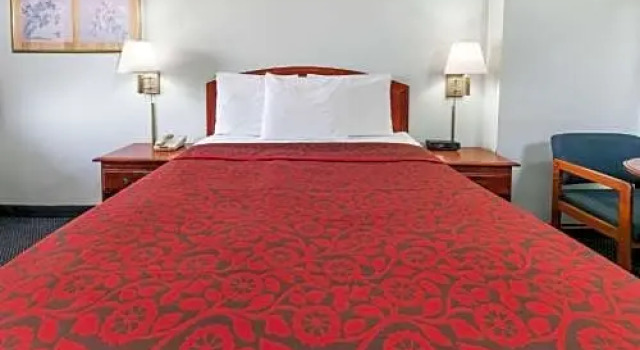Четырёхместный номер Standard Executive Inn