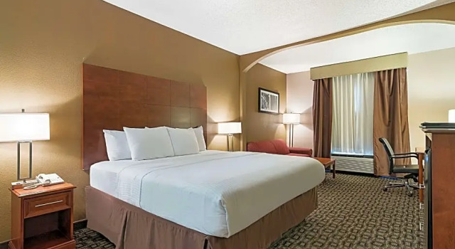 Standard huone La Quinta Inn Decatur