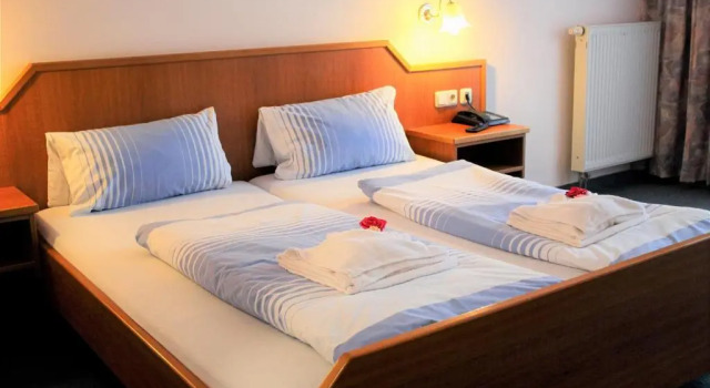 Двухместный номер Standard Waldhotel Feldbachtal