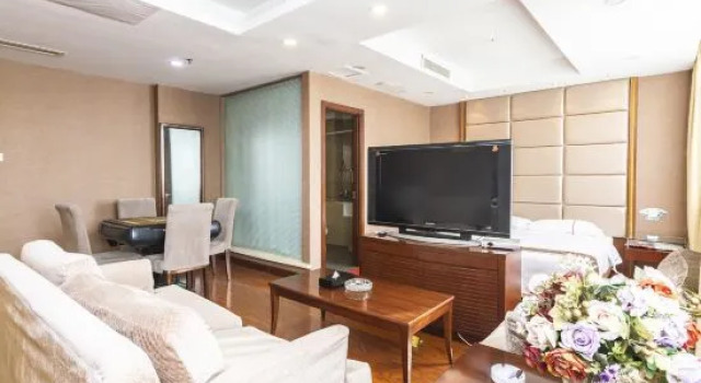 Люкс Business Vansana Plain of Jars Hotel