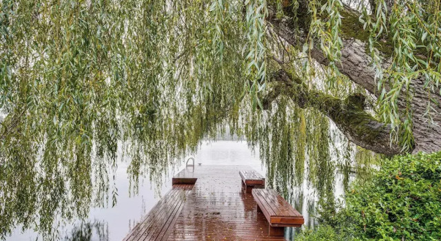 Коттедж 'lakehouse Living' Waterfront Retreat Near Tacoma