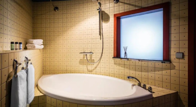 Полулюкс Penck Hotel Dresden