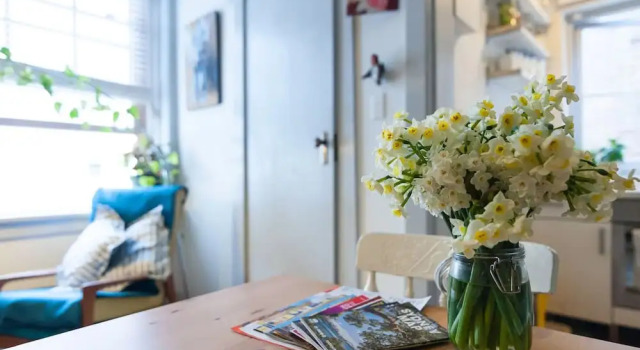 Beautiful Lush and Green Oasis Studio Apartment