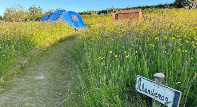 Номер Standard Frowen Fields
