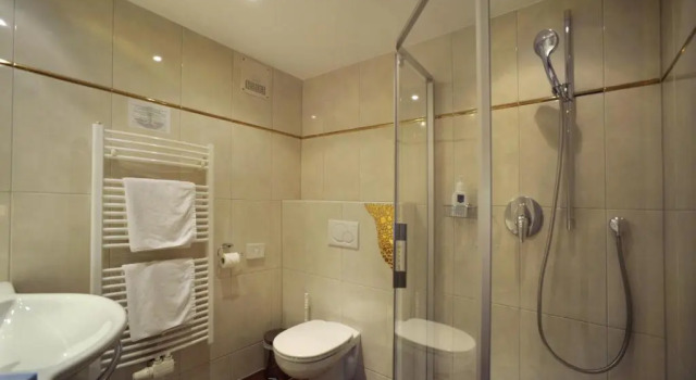Двухместный номер Comfort Hotel Goldener Löwe