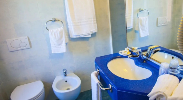 Люкс c 1 комнатой Hotel Delle Rose