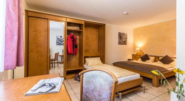 Трёхместный номер Standard Hotel Löwen Garni