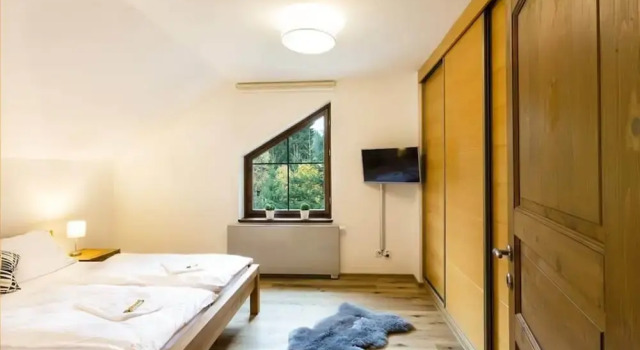 Pleasent Apartment in Harrachov