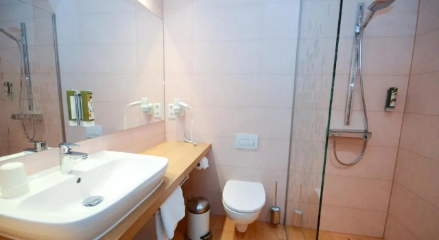 Одноместный номер Standard Waldhotel Eichenhof