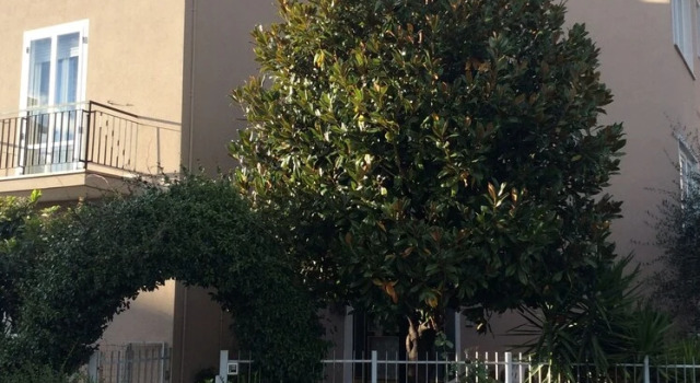 Casa Marzi