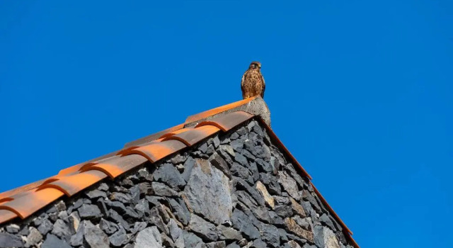 Las Casas del Chorro, Reservar Hotel Agulo La Gomera