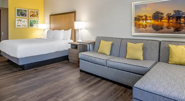 Двухместный люкс студия La Quinta Inn & Suites by Wyndham Valdosta