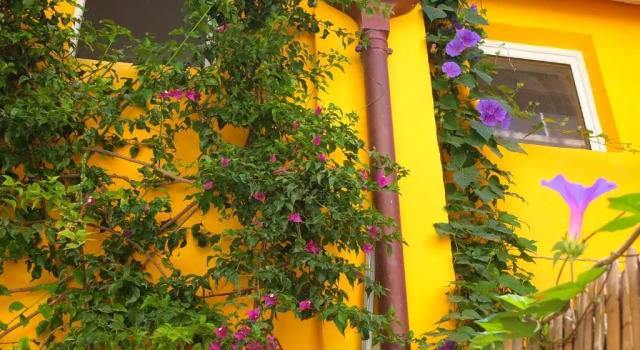 Люкс La Maison Jaune