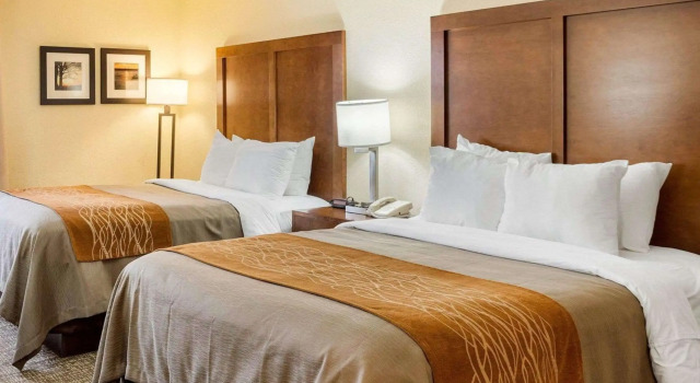 Четырёхместный номер Standard Quality Inn Olive Branch - Memphis South