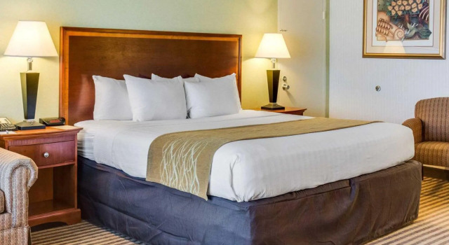 Номер Standard Clarion Inn Fredericksburg North
