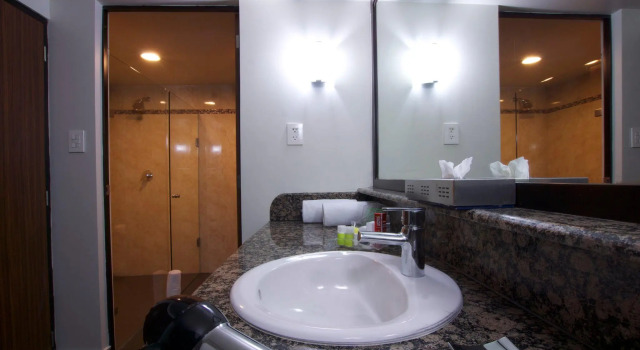 Двухместный номер Premium Holiday Inn Ciudad De Mexico-Trade Center by IHG