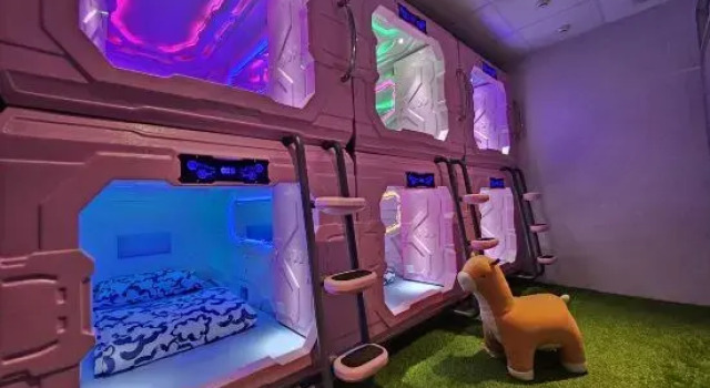 Seng i sovesal (sovesal til kvinder) Galaxy Hotel