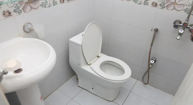 Двухместный номер Standard Swiss Cottage Hotel