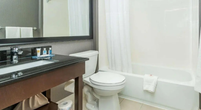 Четырёхместный номер Standard Цокольный этаж Comfort Inn Kanata Ottawa West