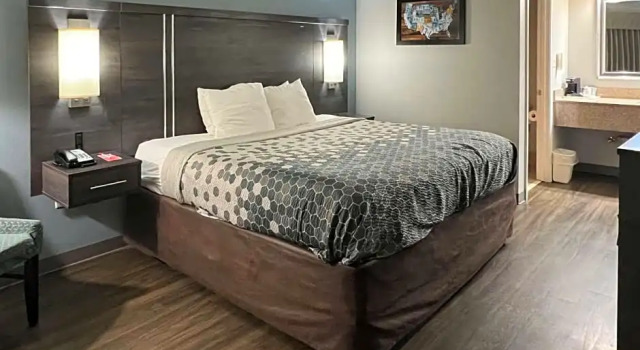 Suite Econo Lodge Byron - Warner Robins