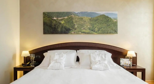 Номер Classic Wine Hotel San Giacomo Activity & Wellness