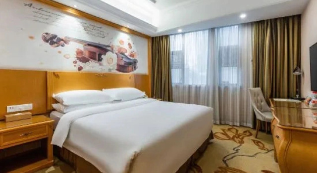 Двухместный люкс Deluxe Vienna Hotel Whhan xingye road stone bridge subway station store