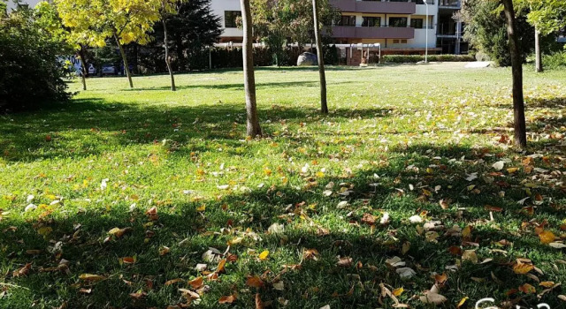 Апартаменты Deva Apartments