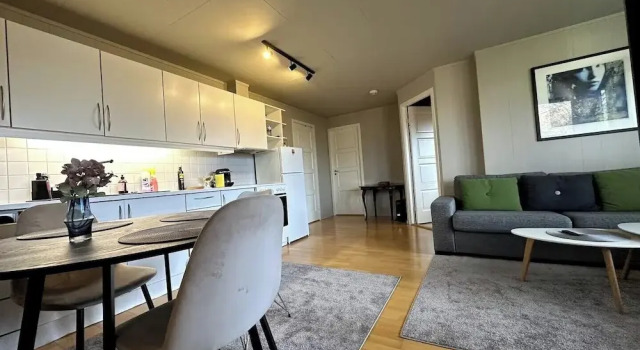 Aurora Borealis Apartment - Sleeps 3 - Parking