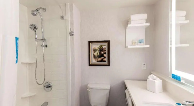 Двухместный номер Standard с балконом Hampton Inn Holland