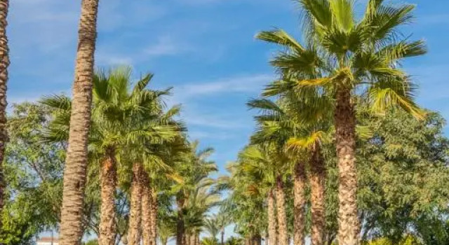 Comfortable Apartment Well Located Near Supermarket - CO212LT, Varaa Huoneisto Roldan Murcia