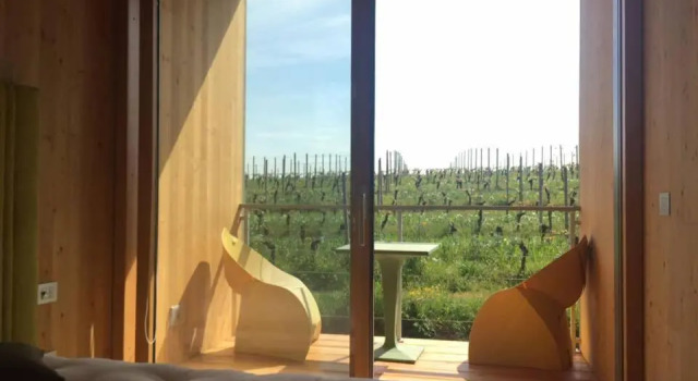 Двухместный номер Deluxe с балконом Eco Bio Agriturismo La Bella Vite - Camere Con Vigna
