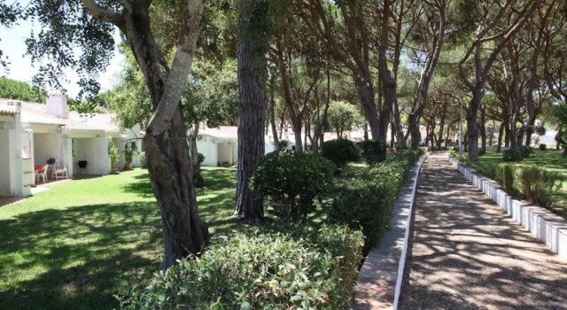 Be@Açoteias Studio, Rezervasyon Otel Algarve havuzlu oteller, Yüzme Havuzu