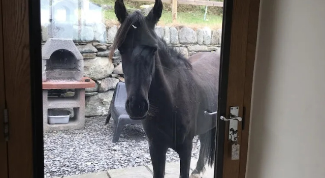 Ceilwart Bungalow, Prenota Hotel Barmouth Snowdonia