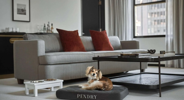 Pendry Chicago, Забронировать Отель Бизнес-отели Чикаго, рядом с Мемориал ветеранов Вьетнама в Чикаго, 4* 5*