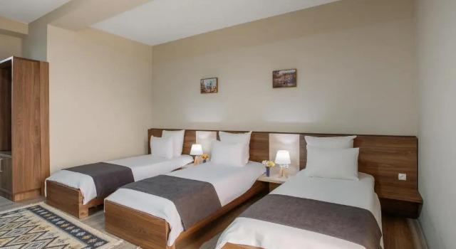 Номер Standard Telavi Inn