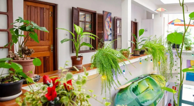 Verde Hostel Ilhabela, Забронировать Хостел Недорогие отели Ильябела, рядом с Пляж Переке, недорого