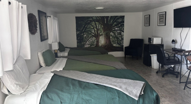 Economy Zimmer Best Quality Inn