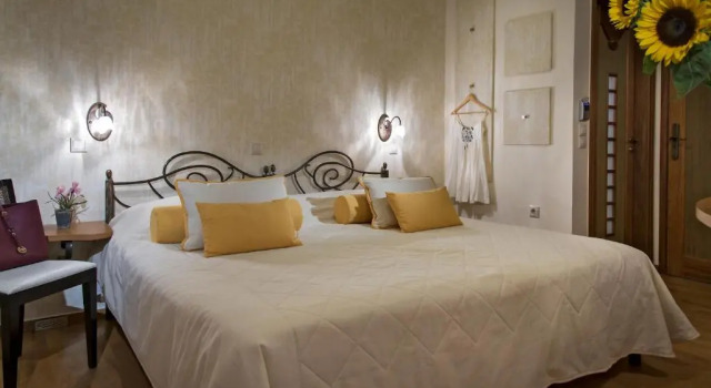 Двухместный номер Standard 1 этаж Ionas Boutique Hotel
