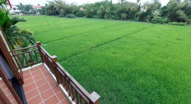 Номер Deluxe Lama Villa Hoi An