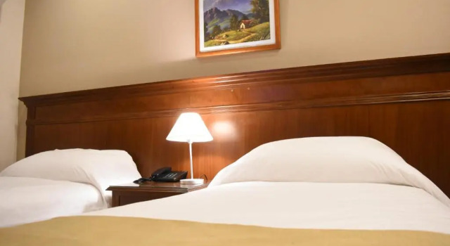 Двухместный номер Standard Ritz Hotel Mendoza