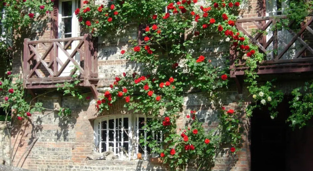 Le Moulin Fleuri Du Petit Appeville, Book Hotel  